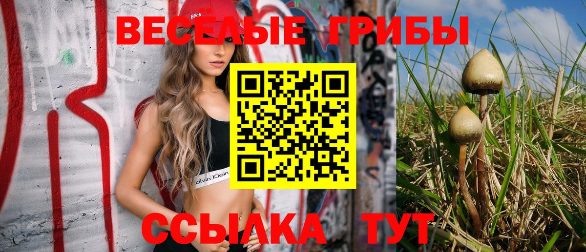 Елец  Галлюциногенные грибы Cubensis  Галлюциногенные грибы ЛСД  как найти закладки  Вход с VPN 